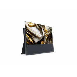 Loewe Iconic 65 - Udstillingsmodel